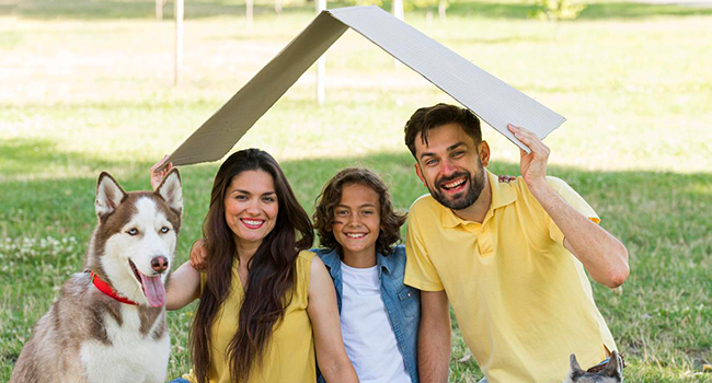 Adopting vs Buying a Pet: Considerations for Prospective Pet Owners
