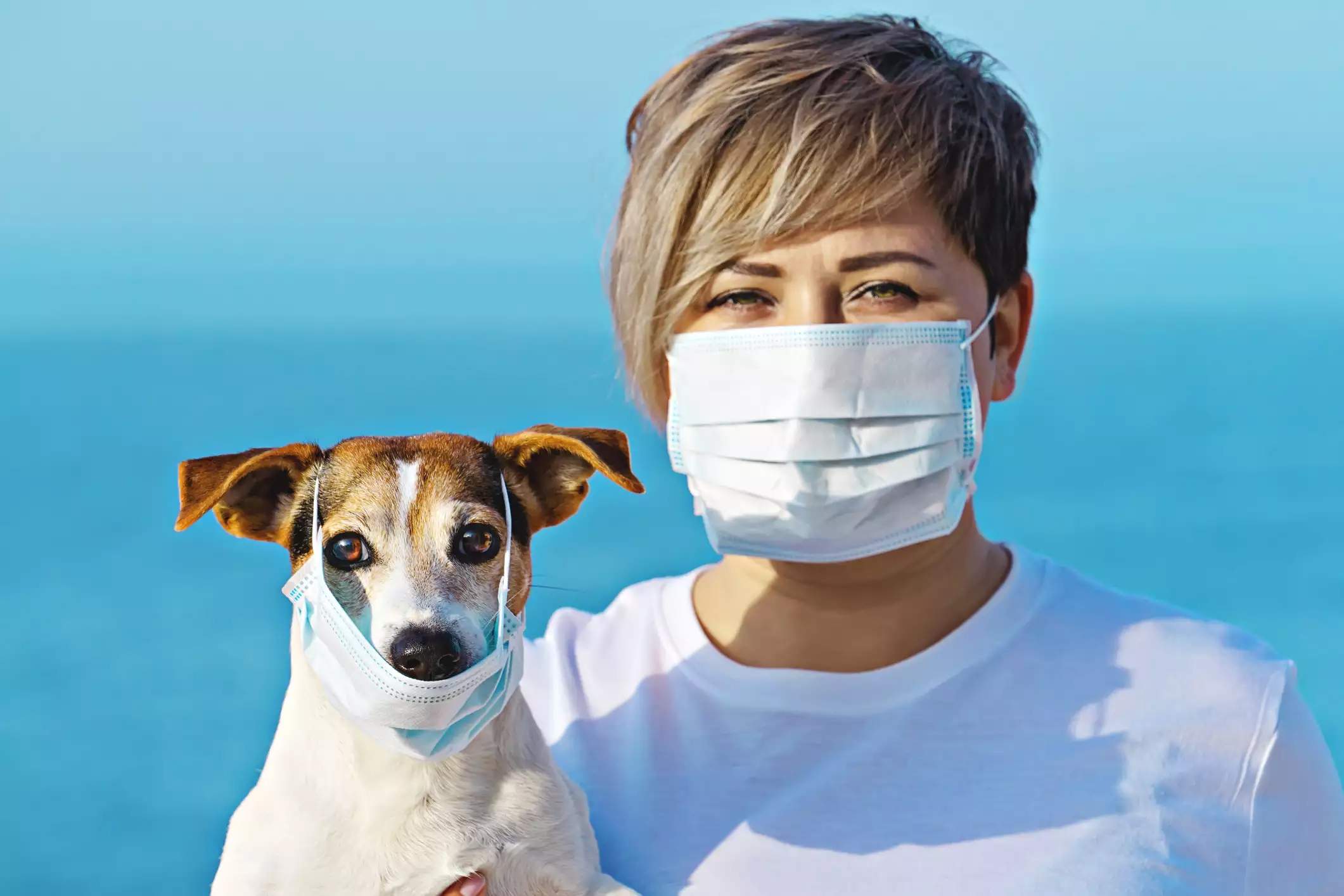 Coronavirus (COVID-19) Pet Care Information

