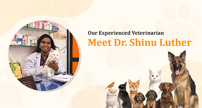 Meet Dr. Shinu Luther: Our Experienced Veterinarian
