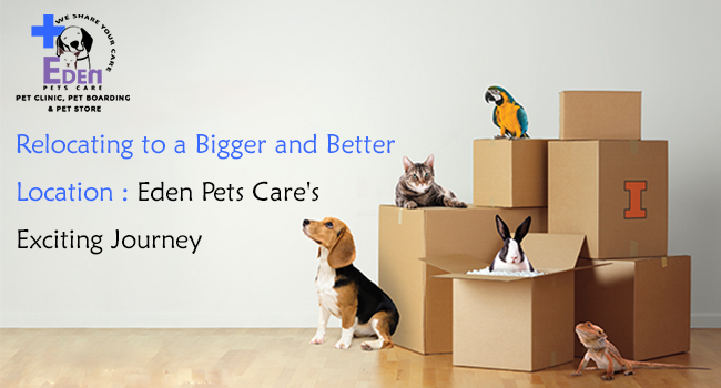 Relocating to a Bigger and Better Location: Eden Pets Care's Exciting Journey
