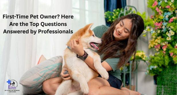 First-Time Pet Owner? Here Are the Top Questions Answered by Professionals
