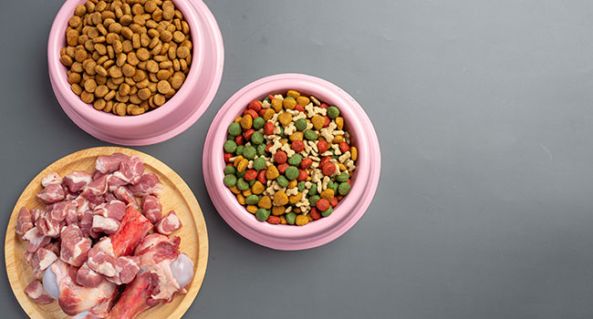 Decoding Your Pet's Diet: A Guide to Choosing the Right Food
