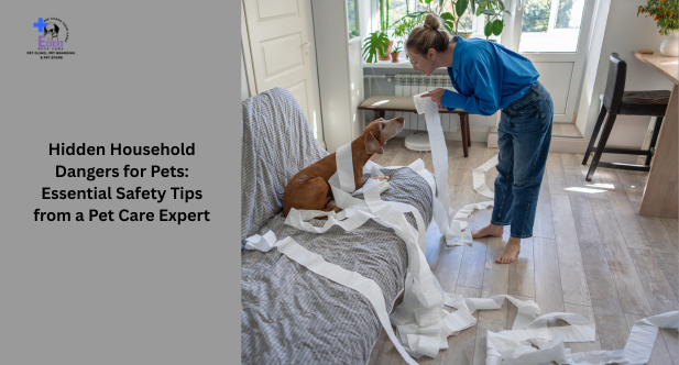 Hidden Household Dangers for Pets: Essential Safety Tips from a Pet Care Expert
