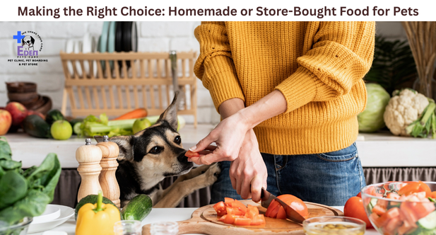 Making the Right Choice: Homemade or Store-Bought Food for Pets
