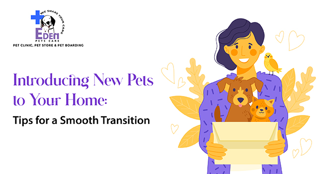 Introducing New Pets to Your Home: Tips for a Smooth Transition
