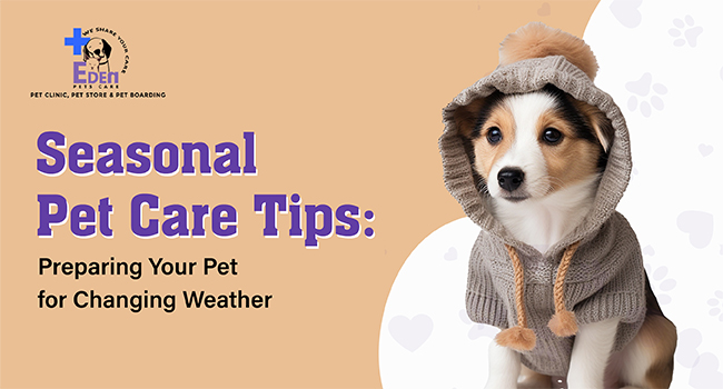 Seasonal Pet Care Tips: Preparing Your Pet for Changing Weather
