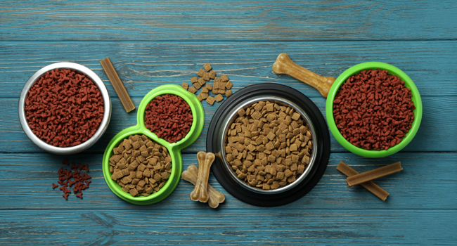 Top 10 Superfoods for Dogs and Cats: Boost Your Pet's Health Naturally

