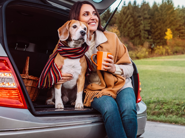 Travelling With Your Pet - What Are The Real Pros And Cons?
