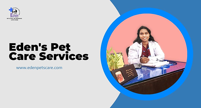 Eden's Pet Care Services
