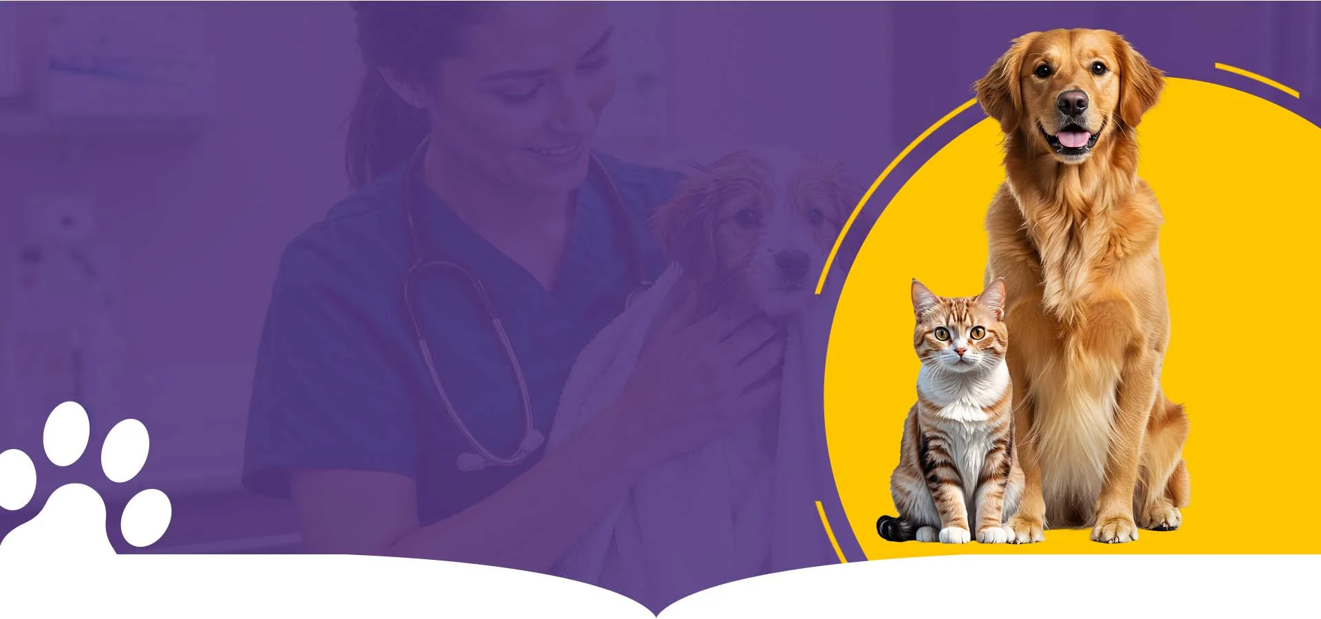 Trusted Pets Care in Chennai